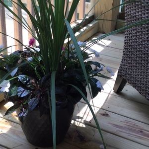 Meet your Posher, Debra